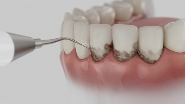 Reliable Dental contractor in Potterville, MI by Dentist Open Now
